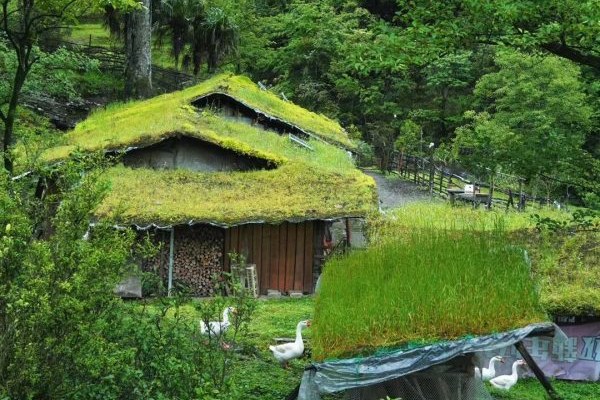 追寻古老传说一高淳民间文学研究