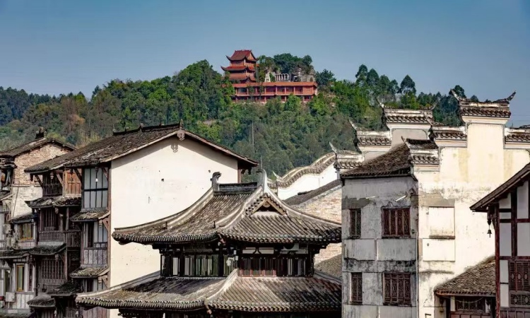1737618258190071.jpg 微信图片_20250123153232.jpg