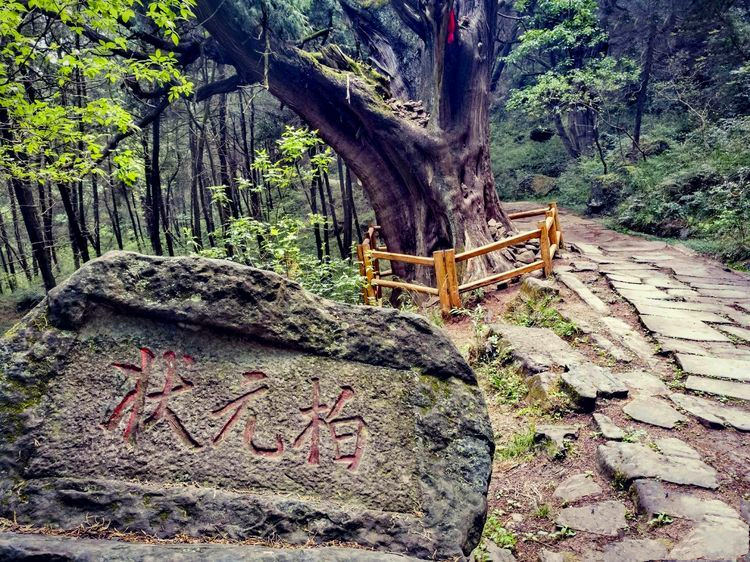 【古道丨古楼铺+拦马墙】轻徒古蜀遗道,穿越三国出蜀第一关 千年金牛古道,一场用脚步丈量历史的旅程_重庆大鹅文化