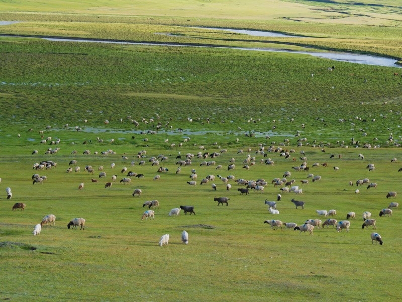 DSCF6558.JPG
