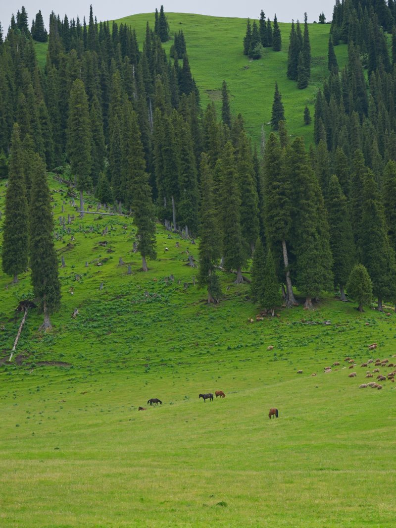 DSCF5867.JPG