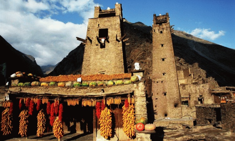 桃坪是.jpg